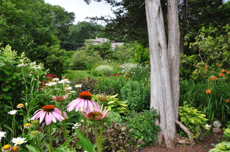 Gardens in August in New England