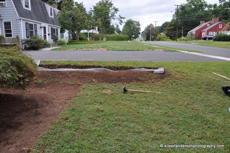 The water will be diverted out in the middle of the yard toward the road and away from the foundation of the house.